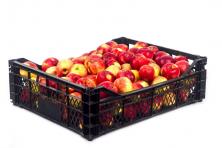 apples in a plastic crate