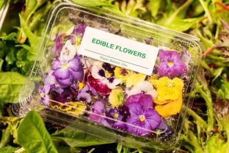 edible flowers in a plastic container