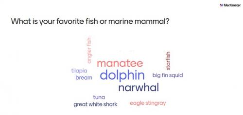 word cloud answers for the question about your favorite fish
