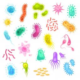 colorful microbes of different spaces