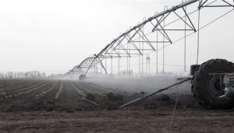 watering a vegetable field from overhead