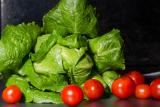 lettuce and tomatoes against a black background