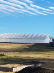 Shepard's greenhouse under a cloudy sky