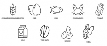 line drawing of 9 common allergens
