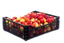 apples in a plastic crate