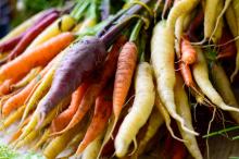 carrots in a variety of colors