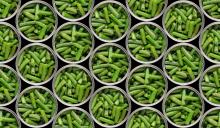 many cans of green beans, seen from above