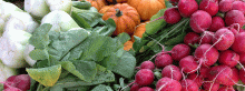 radishes, pumpkins, and grees