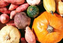 pumpkins, squash, and potatoes