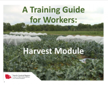 first page of the training guide for workers