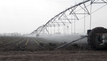 water crops from overheard on a pale blue sky