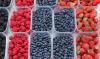 three kinds of berries in small boxes