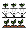 drawing of an irrigation system watering two rows of plants